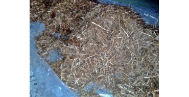 MANTAR KOMPOST ATIĞI SATIŞI