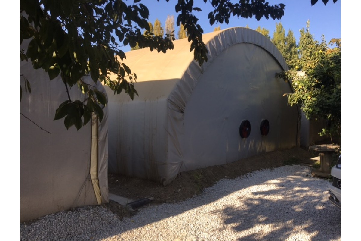 mantar tohumu satışı